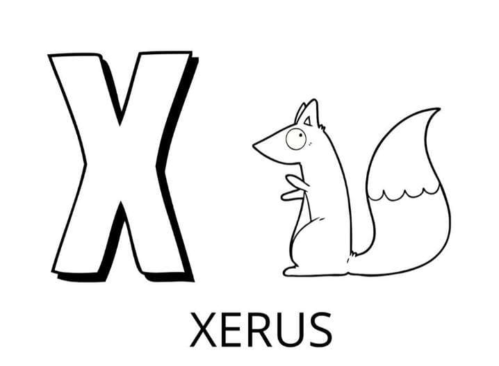 Lettre X – Xerus coloring page