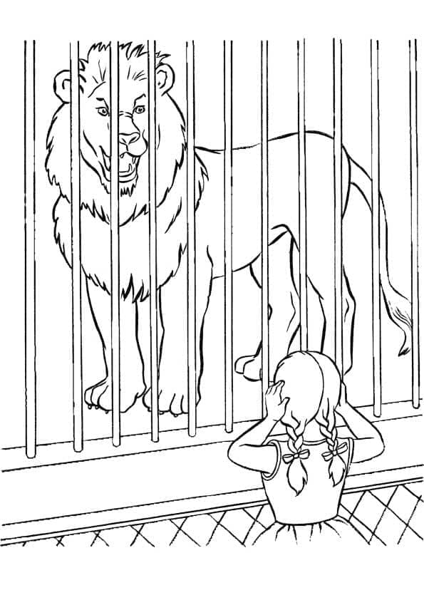 Lion de Zoo coloring page