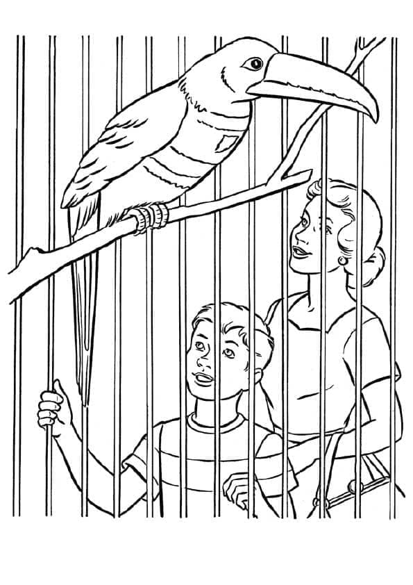 Oiseau de Zoo coloring page