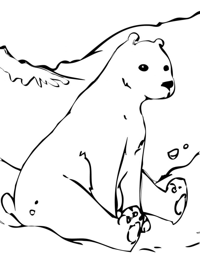 Ours Polaire Assis coloring page