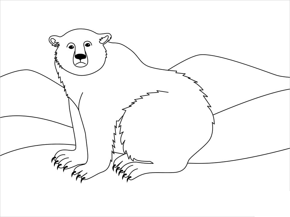 Ours Polaire Facile coloring page