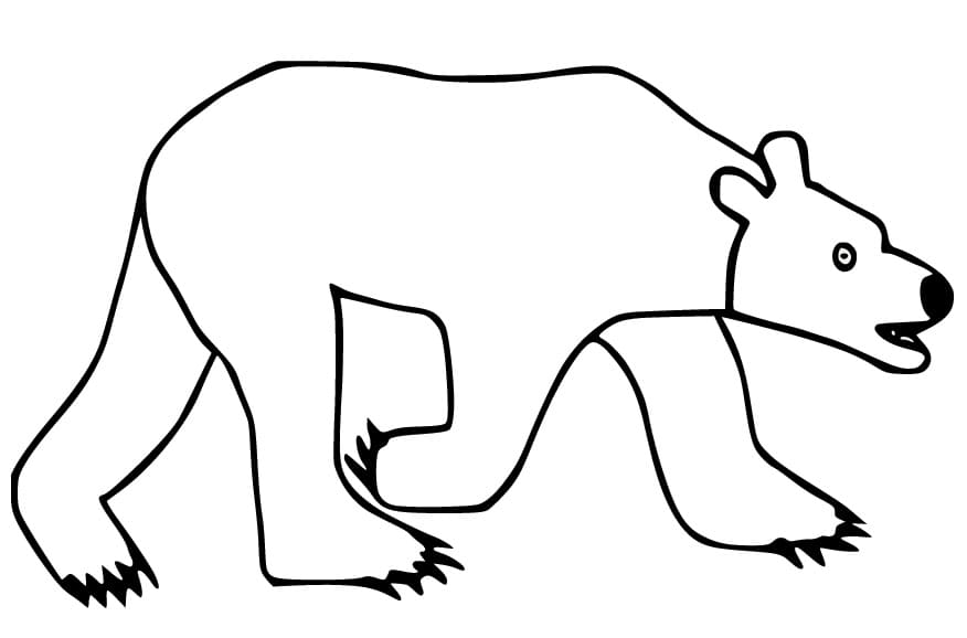 Ours Polaire Simple coloring page
