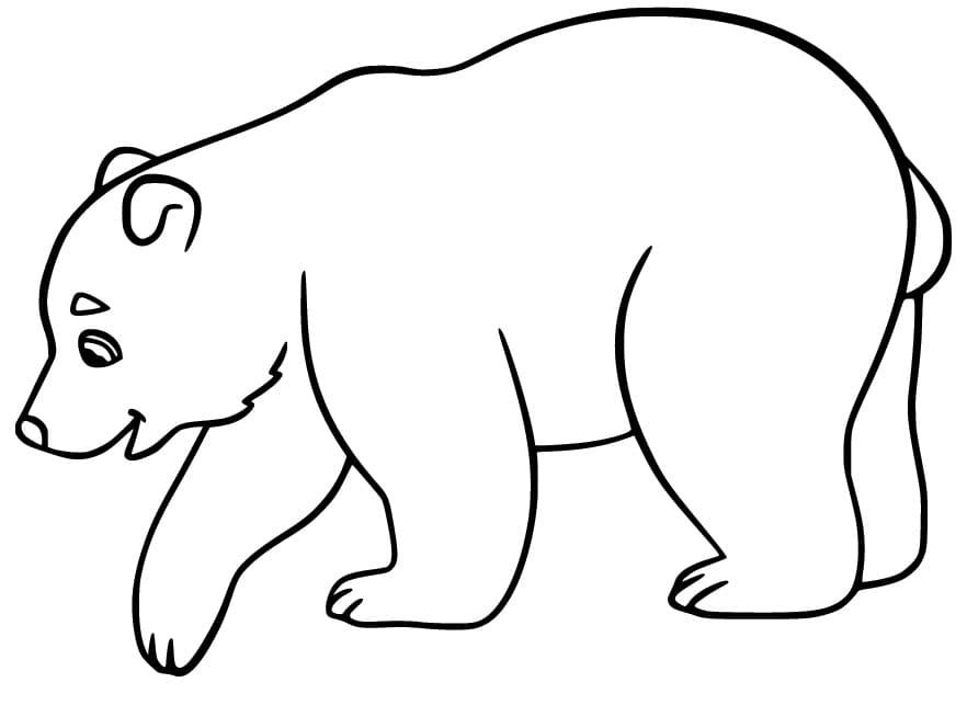 Ours Polaire Souriant coloring page