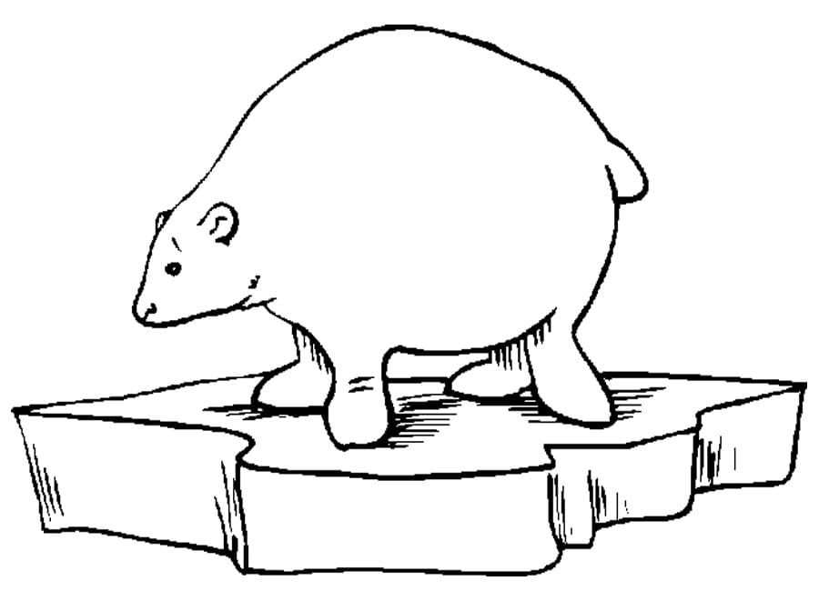 Petit Ours Polaire coloring page