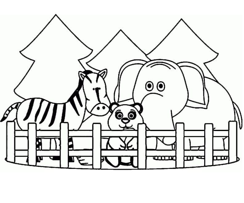 Petits Animaux du Zoo coloring page