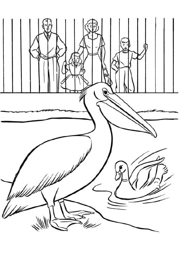 Visiter le Zoo coloring page