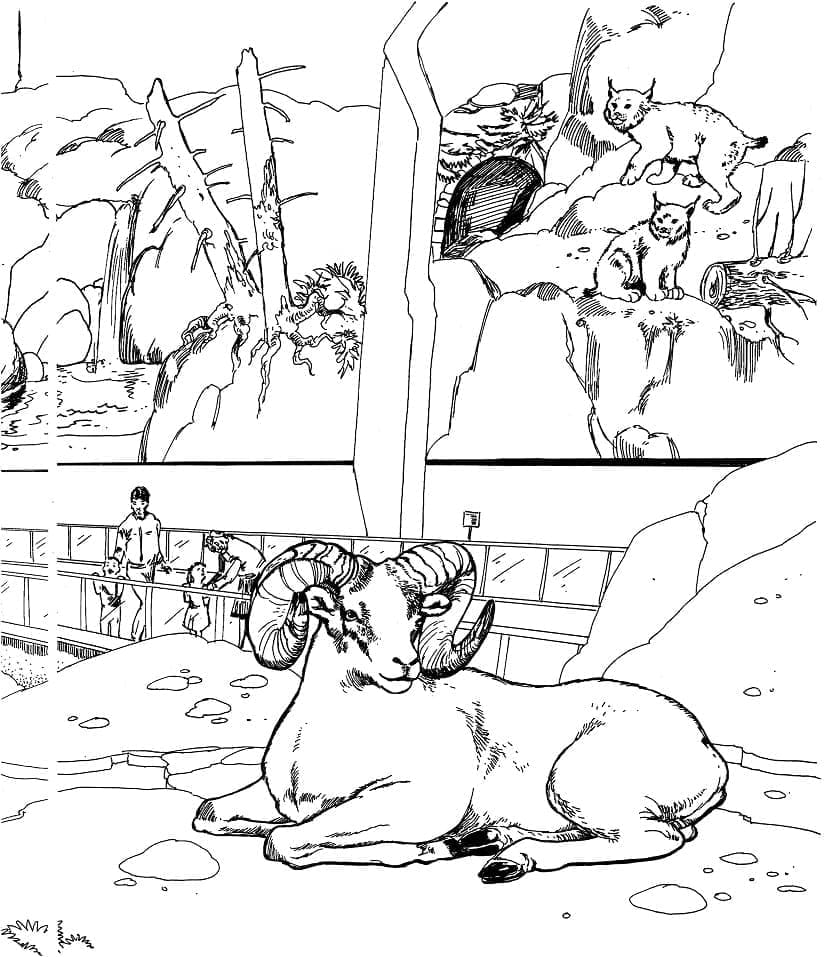 Zoo Réaliste coloring page