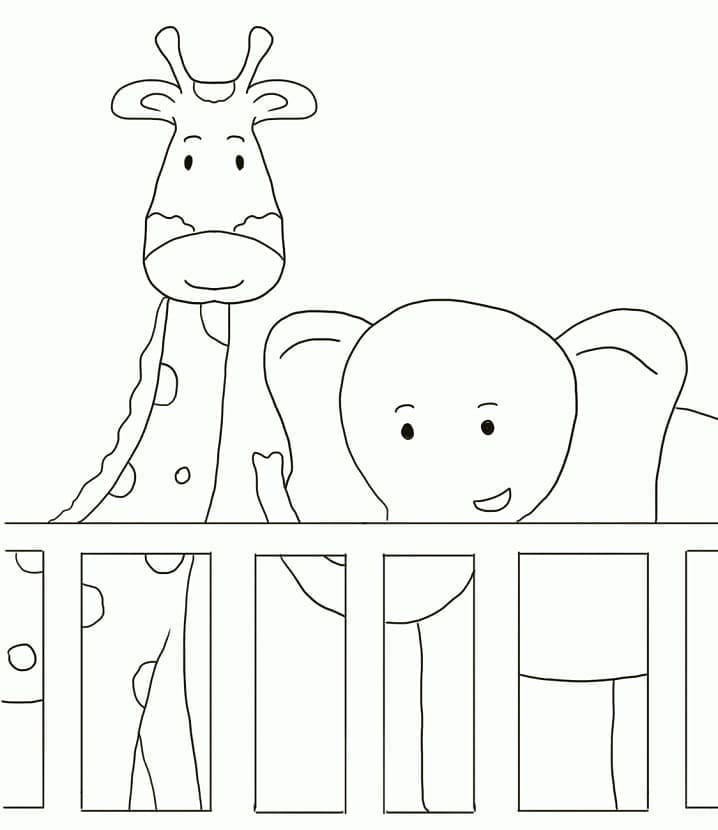 Coloriage Zoo Simple