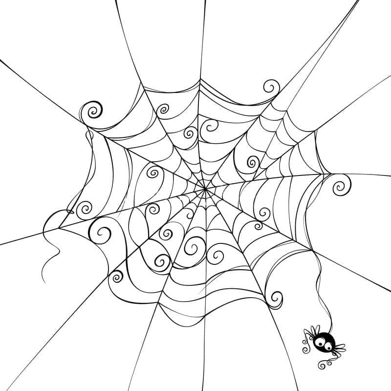 Coloriage Araignée avec Toile d'Araignée
