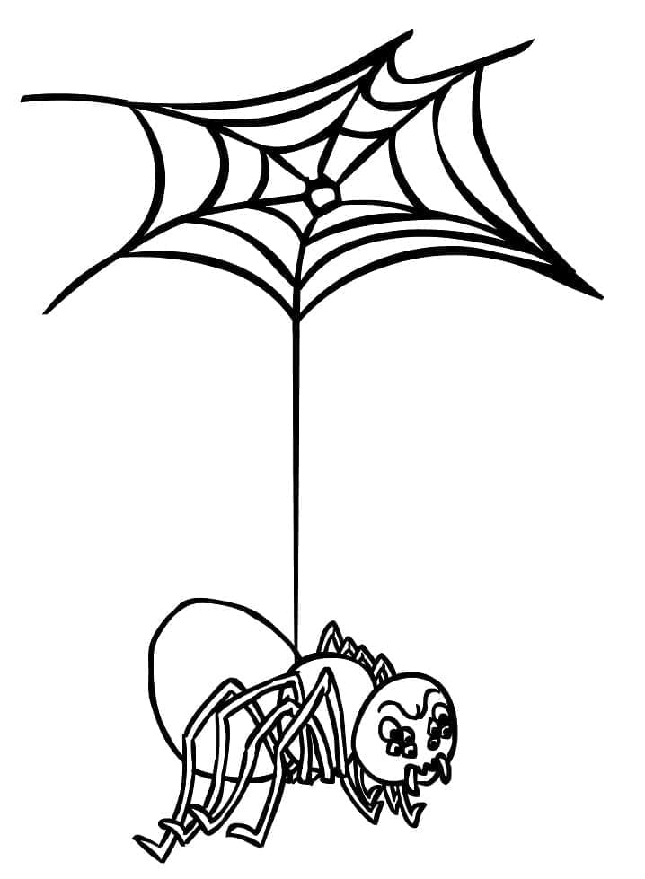 Araignée et Toile d’Araignée coloring page