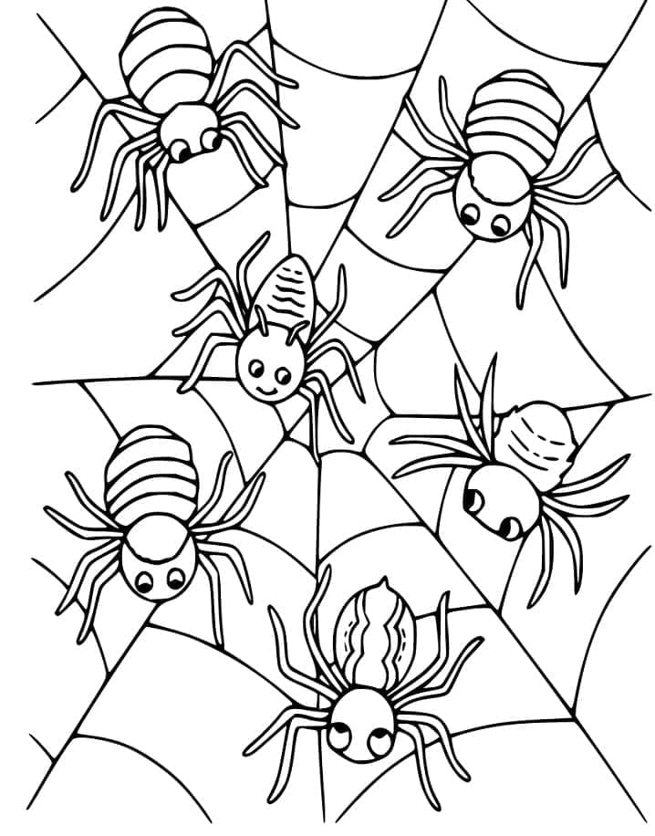 Coloriage Araignées Sur Toile d'Araignée