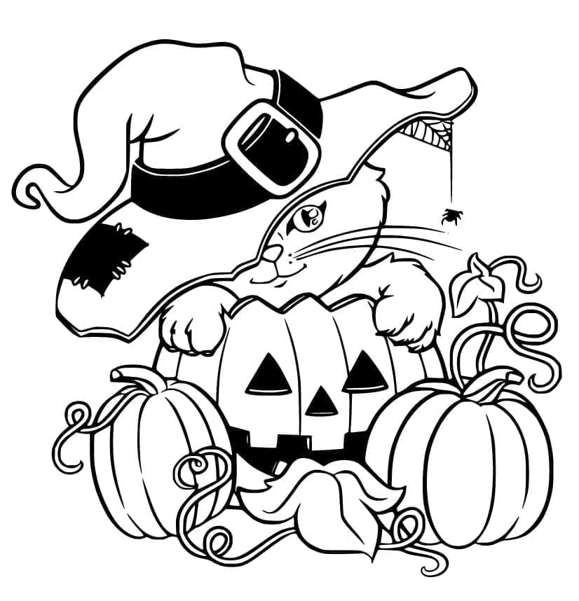 Chat d’Halloween 2 coloring page