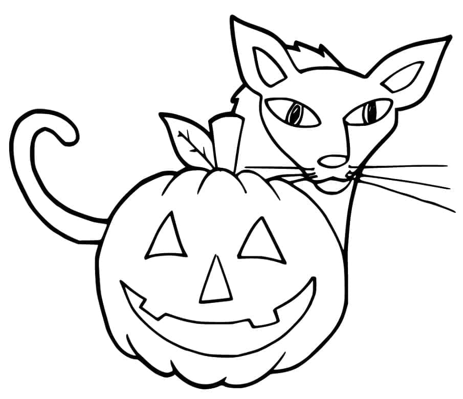 Coloriage Chat d'Halloween Pour les Enfants