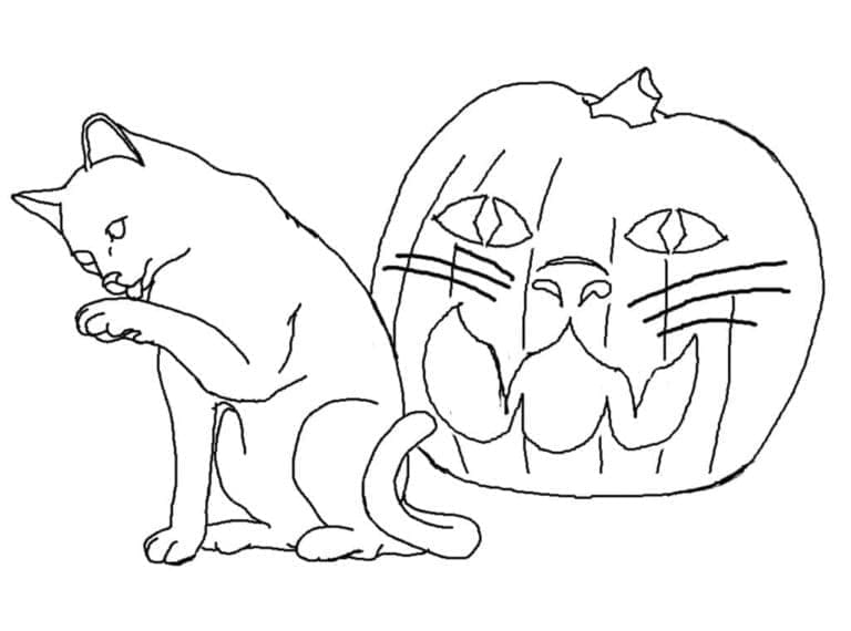 Coloriage Chat et Citrouille d'Halloween