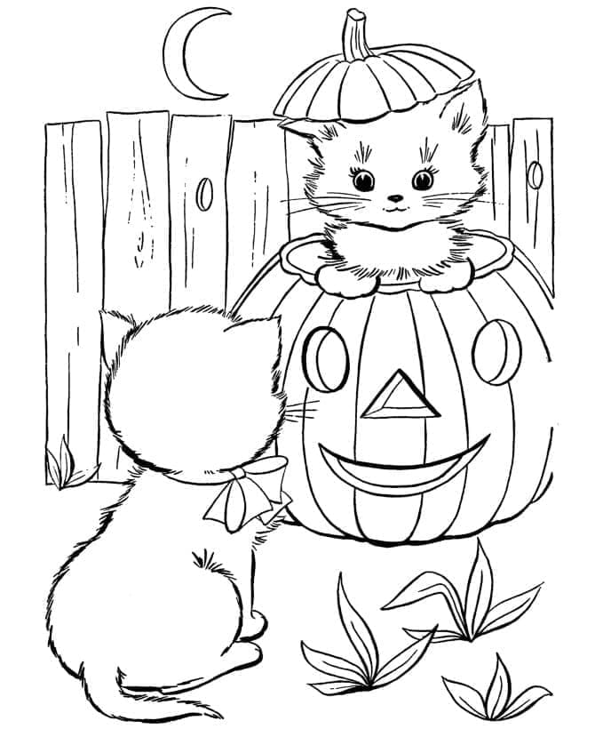 Coloriage Chatons d'Halloween