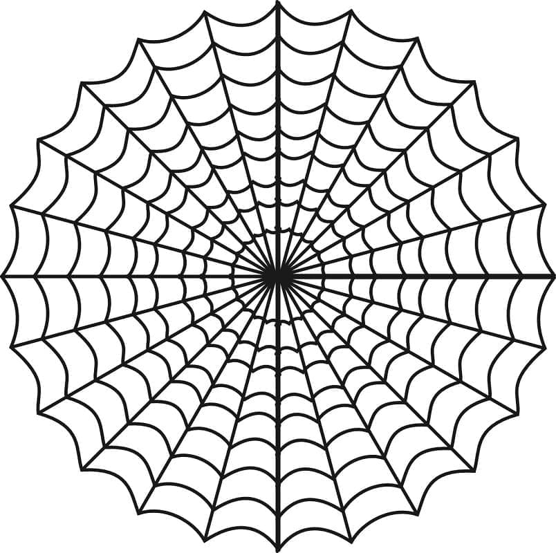 Coloriage Image de la Toile d'Araignée