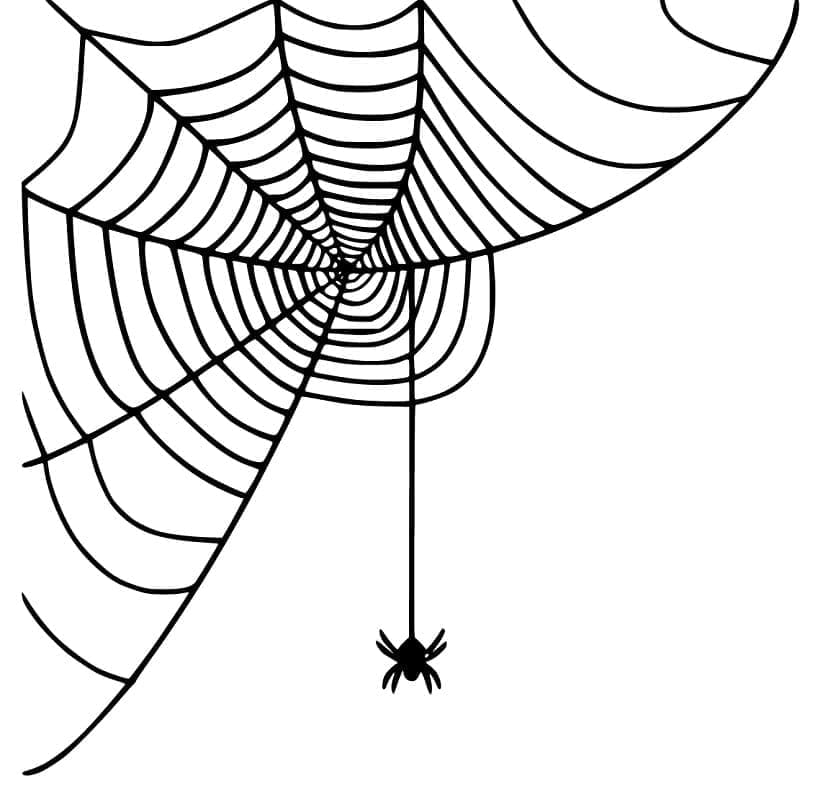 La Toile d’Araignée coloring page