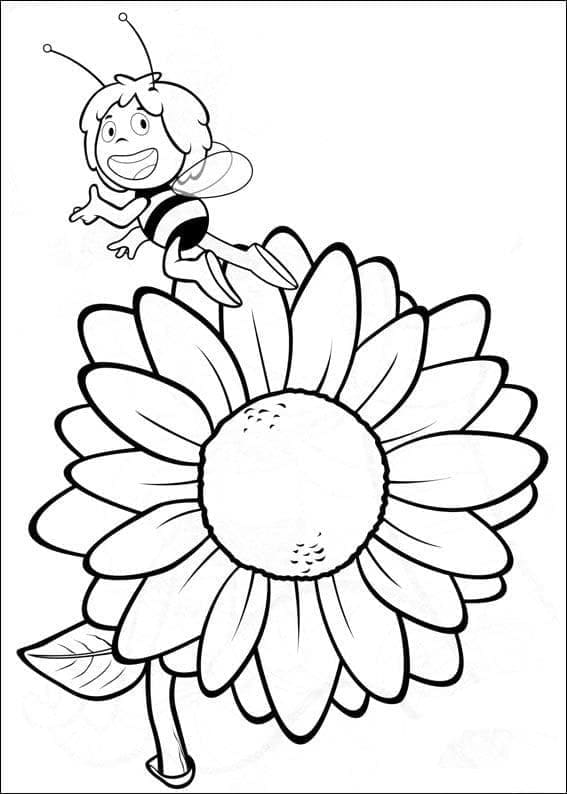 Coloriage Maya l'Abeille et Fleur