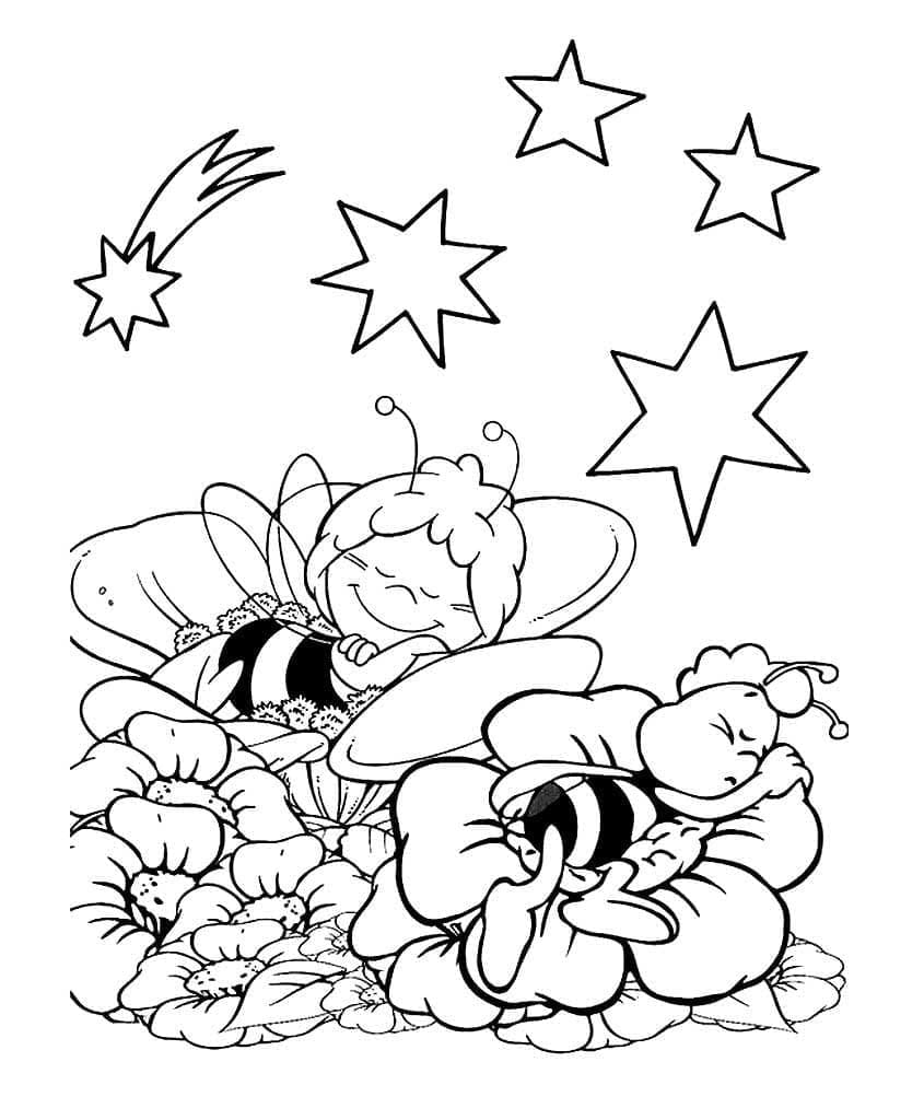 Coloriage Maya l'Abeille et Willy Endormis