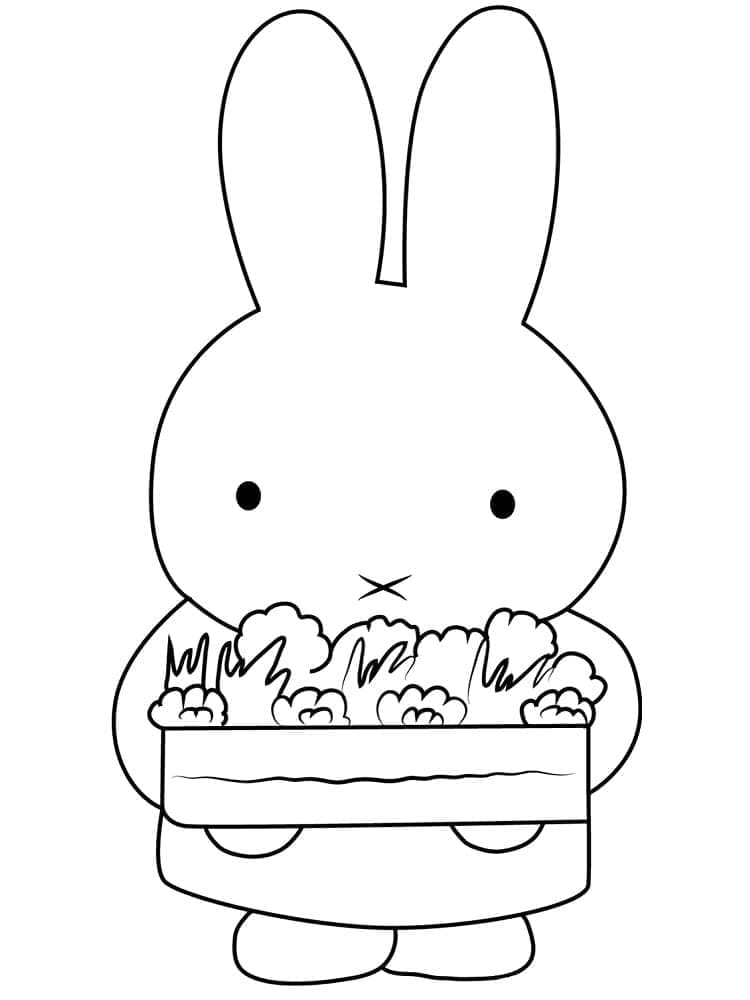 Miffy et Légumes coloring page
