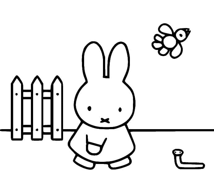 Miffy et Oiseau coloring page