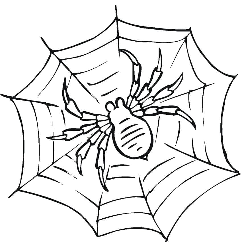 Toile d’Araignée 1 coloring page