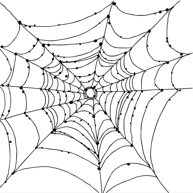 Toile d’Araignée 3 coloring page