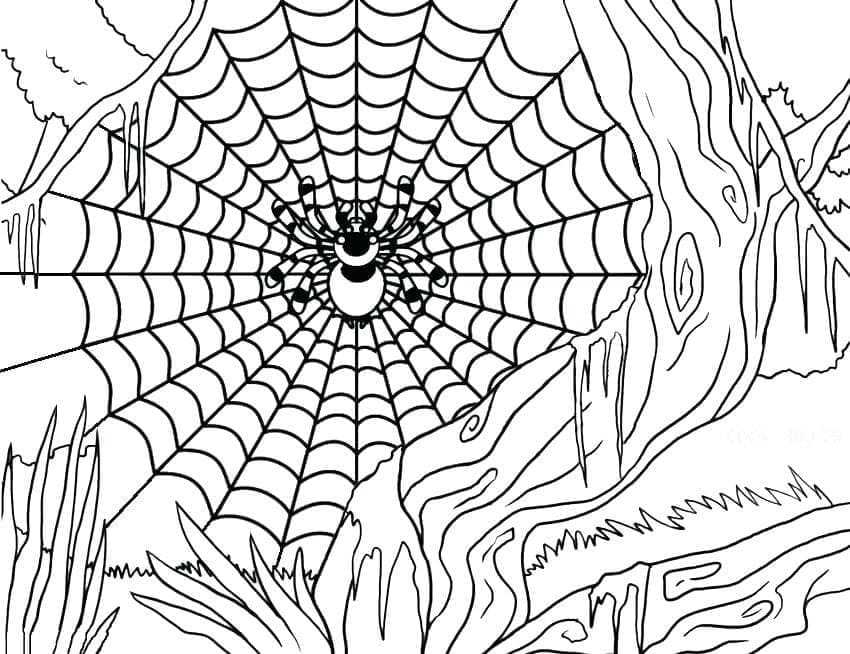 Toile d’Araignée 4 coloring page