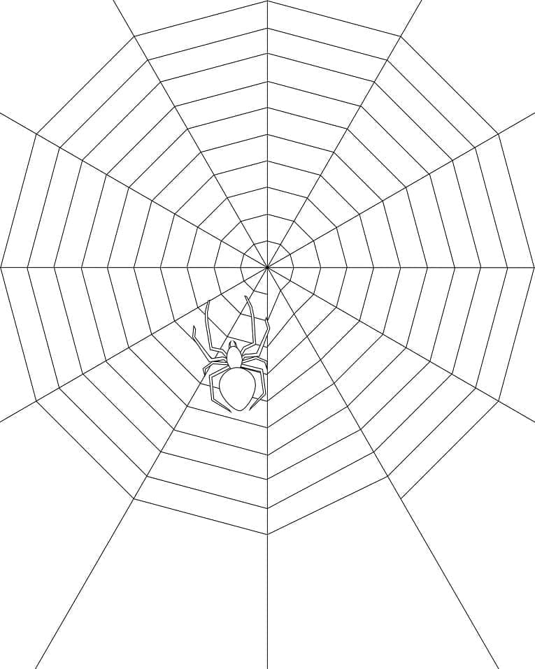Toile d’Araignée Facile coloring page