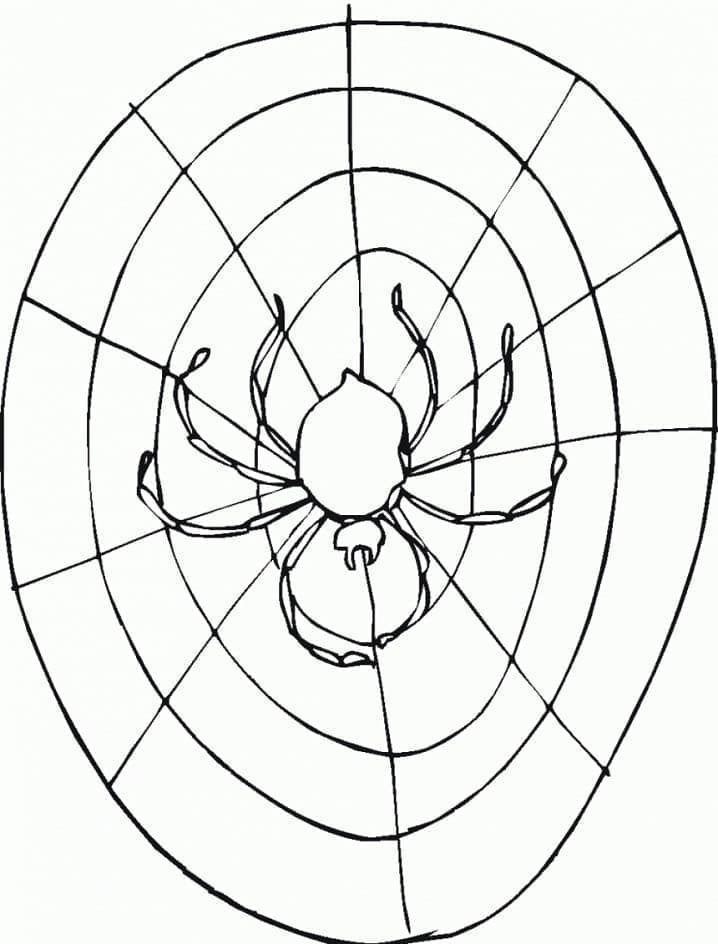 Toile d’Araignée Gratuite coloring page