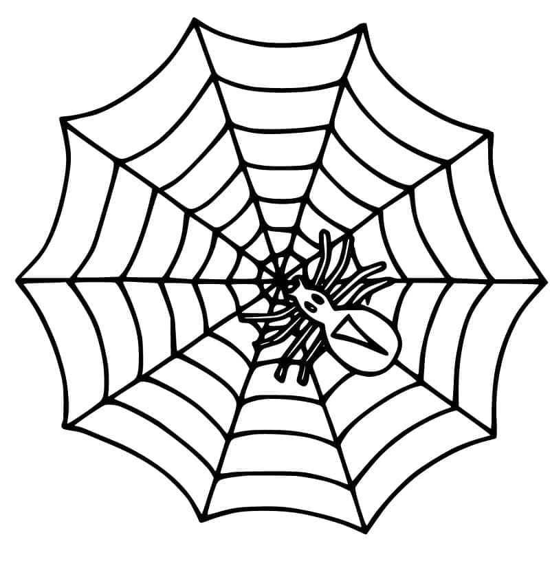 Toile d’Araignée Normale coloring page
