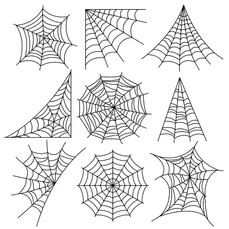 Toiles d’Araignée coloring page