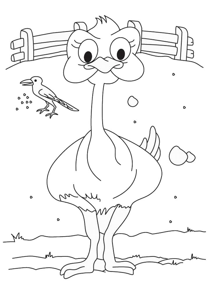 Autruche et Oiseau coloring page