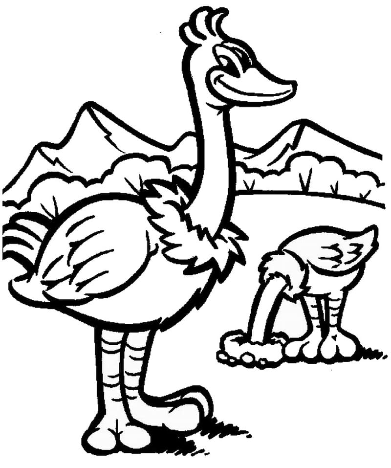 Autruches coloring page