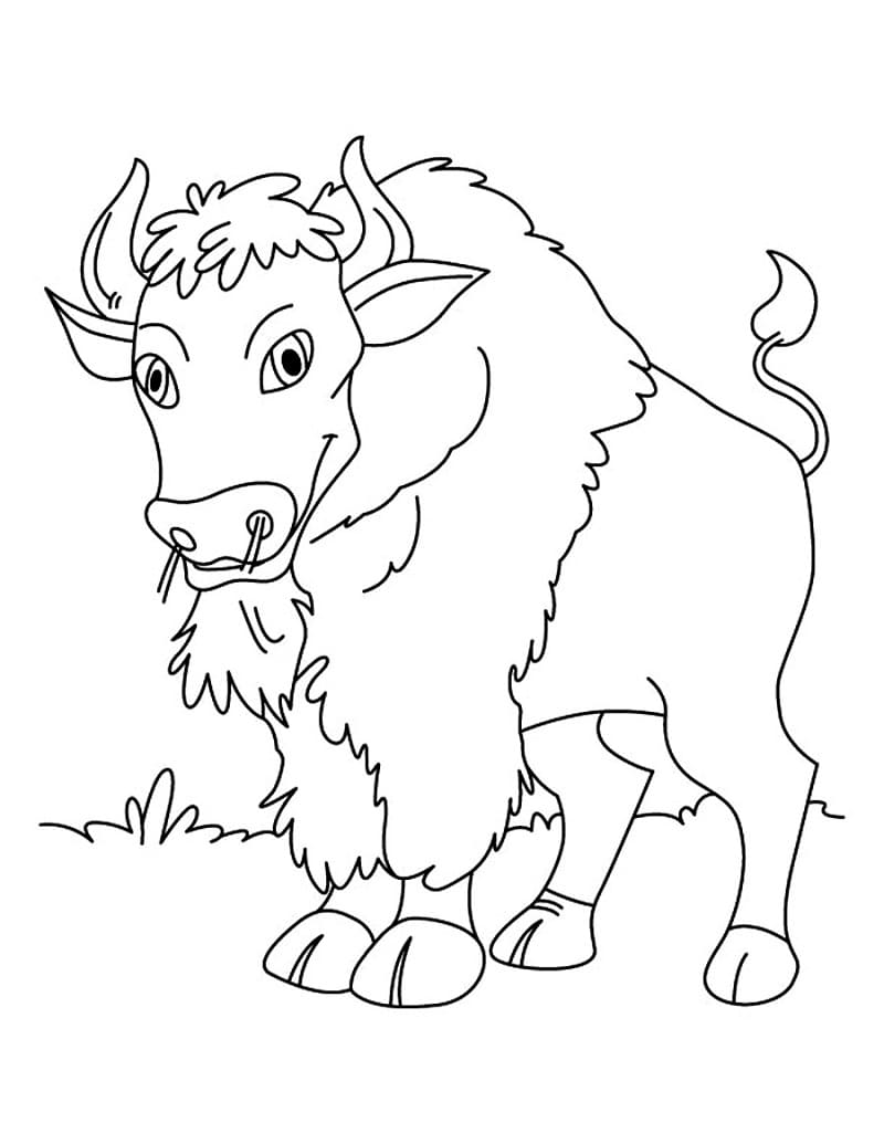 Bison Heureux coloring page