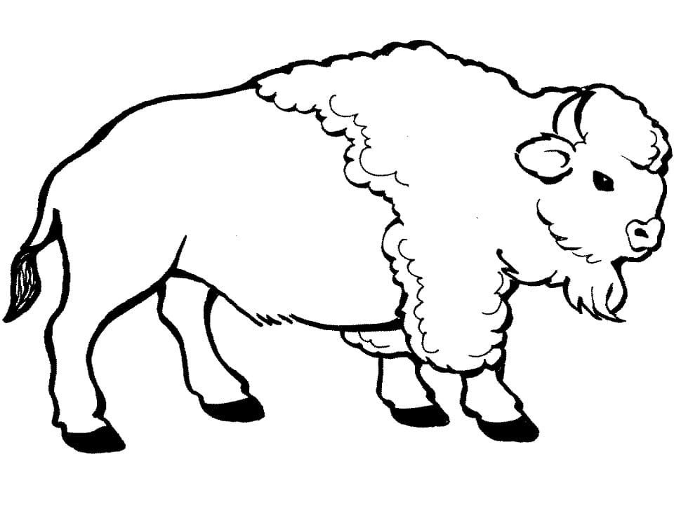 Bison Imprimable coloring page