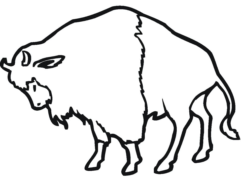 Bison Très Simple coloring page