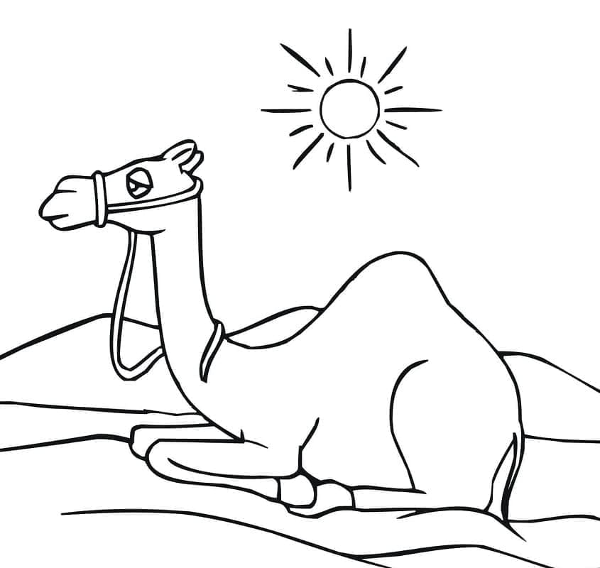 Chameau Imprimable coloring page