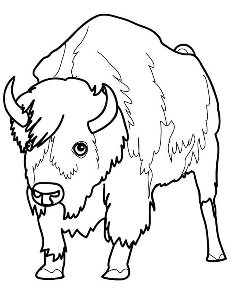 Dessin de Bison coloring page