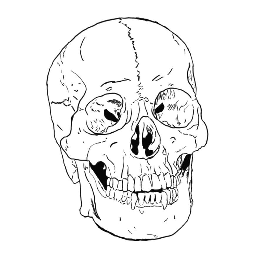 Dessin de Crâne coloring page