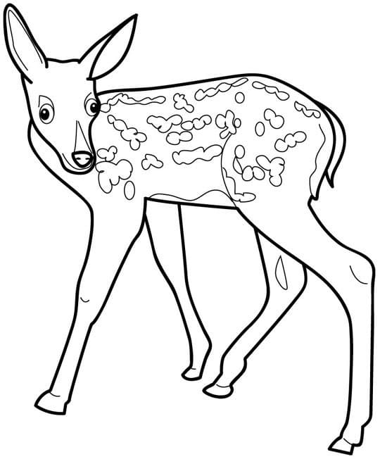 Faon Curieux coloring page