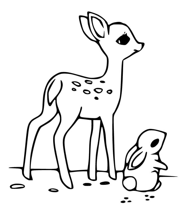 Faon et Lapin coloring page