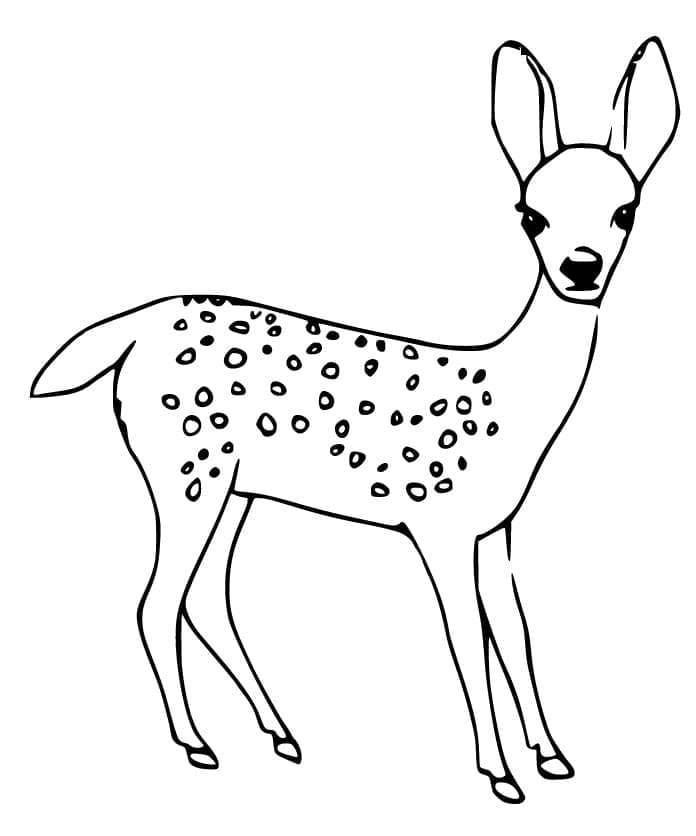 Faon Normal coloring page
