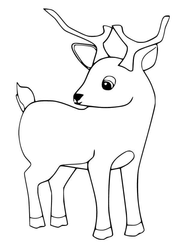 Faon Simple coloring page