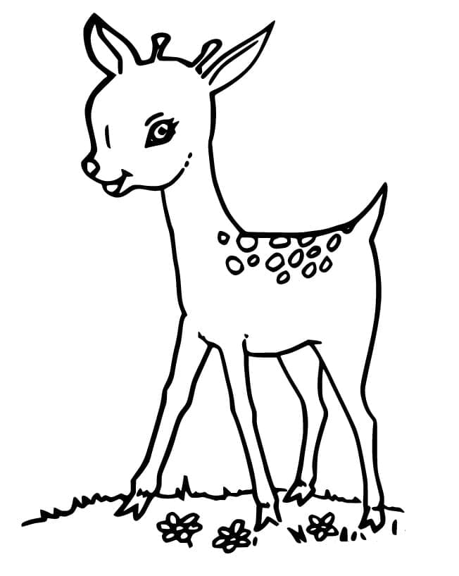 Faon Souriant coloring page
