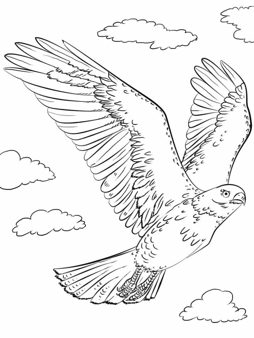 Faucon dans le Ciel coloring page