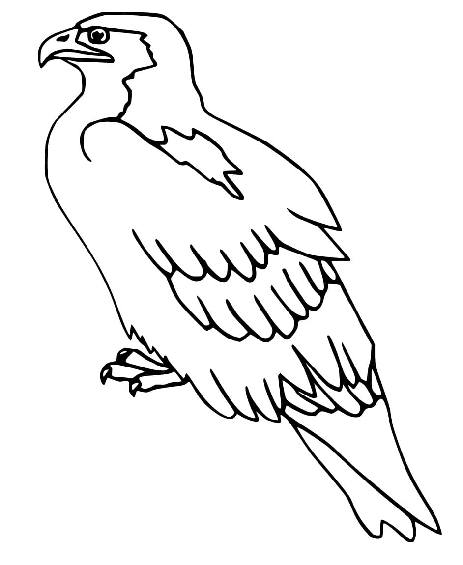 Faucon Simple coloring page