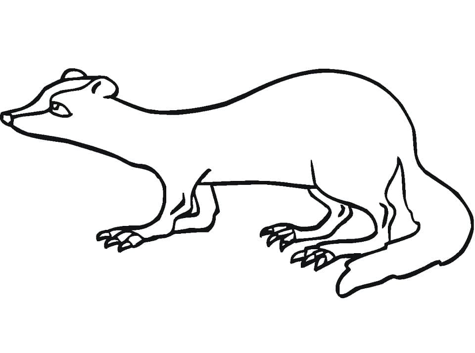 Furet 10 coloring page