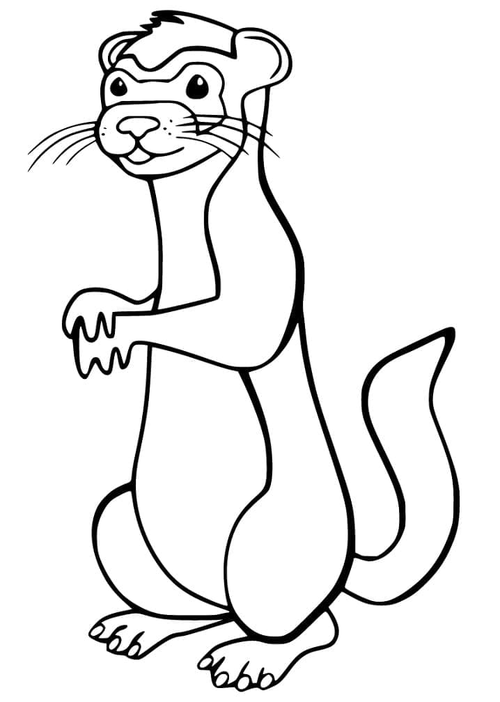Furet 2 coloring page