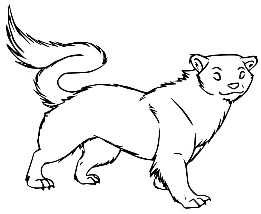 Furet 4 coloring page